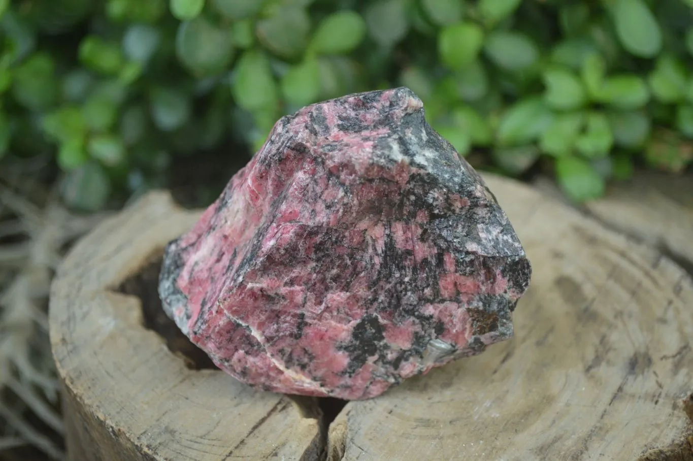 Natural Rhodonite Cobbed Specimens x 8 From Zimbabwe