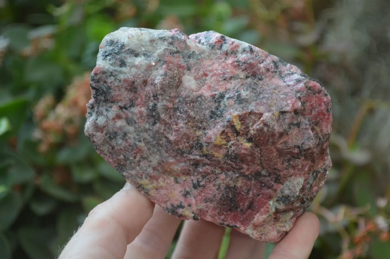 Natural Rhodonite Cobbed Specimens x 8 From Zimbabwe