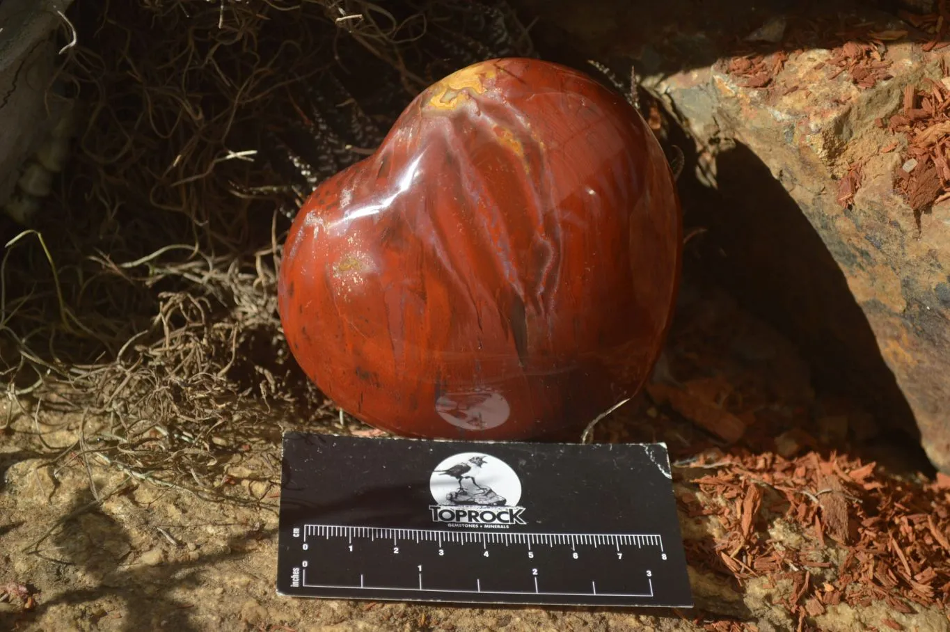 Polished Podocarpus Petrified Wood Hearts x 2 From Mahajanga, Madagascar