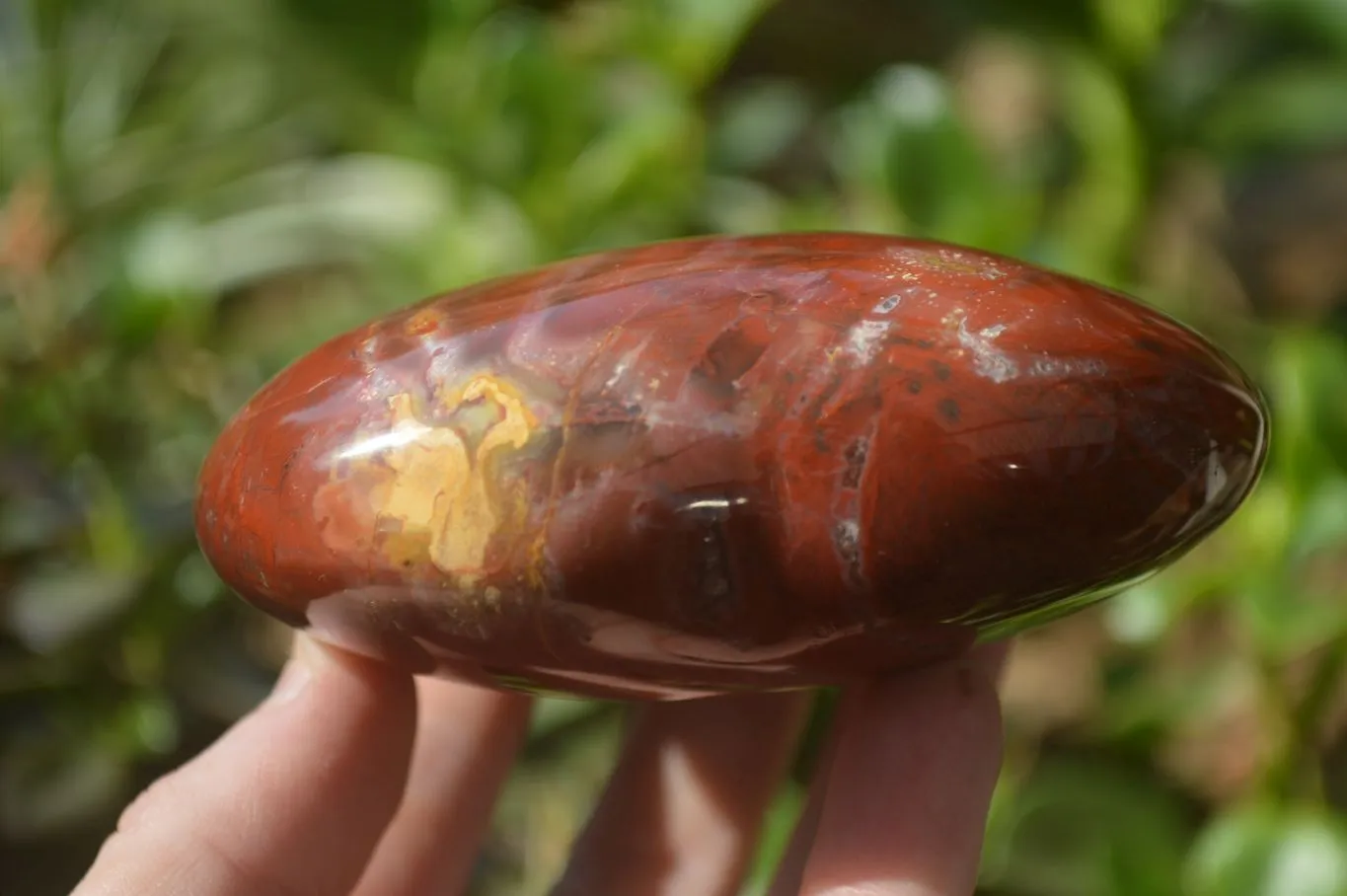 Polished Podocarpus Petrified Wood Hearts x 2 From Mahajanga, Madagascar