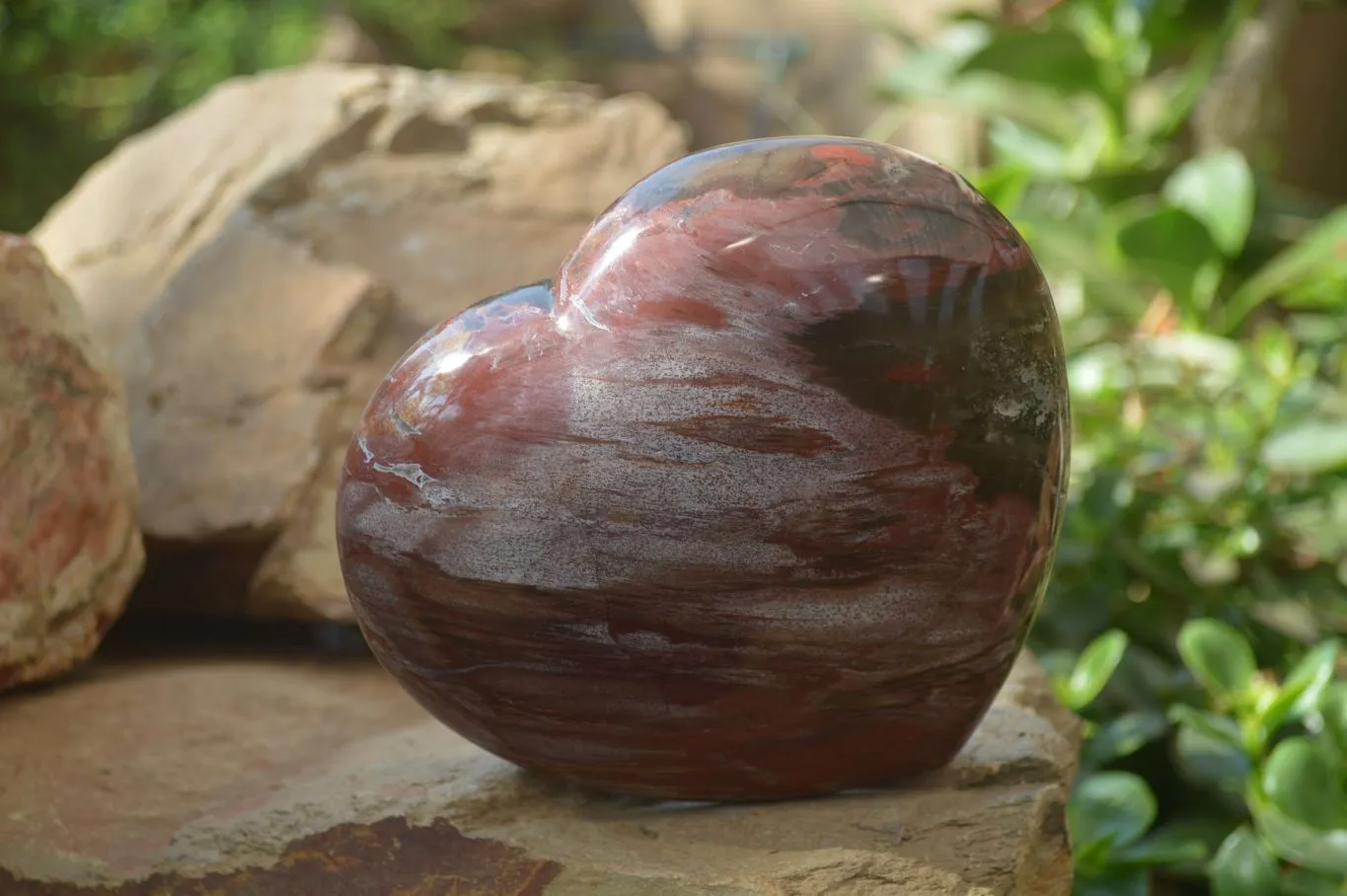 Polished Podocarpus Petrified Wood Hearts x 2 From Mahajanga, Madagascar