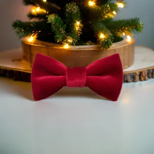 Red Velvet Festive Dog Bow Tie